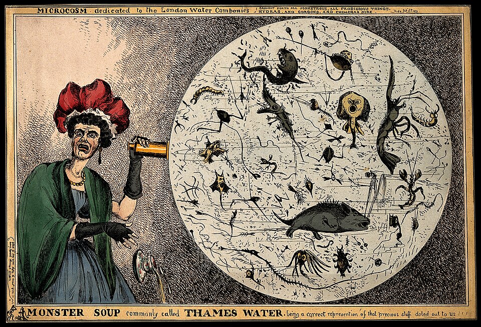 Monster Soup commonly called Thames Water, satirical print by William Heath, 1828