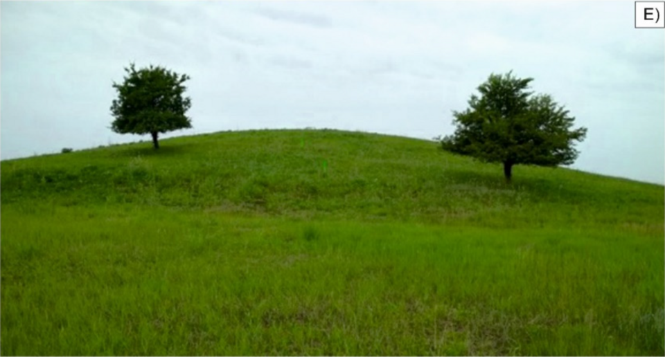 Yamnaya kurgan burial